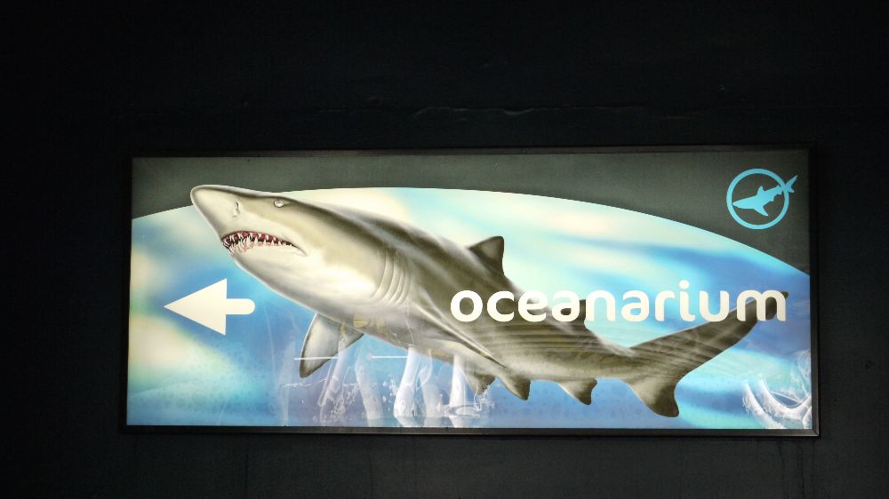 Oceanarium