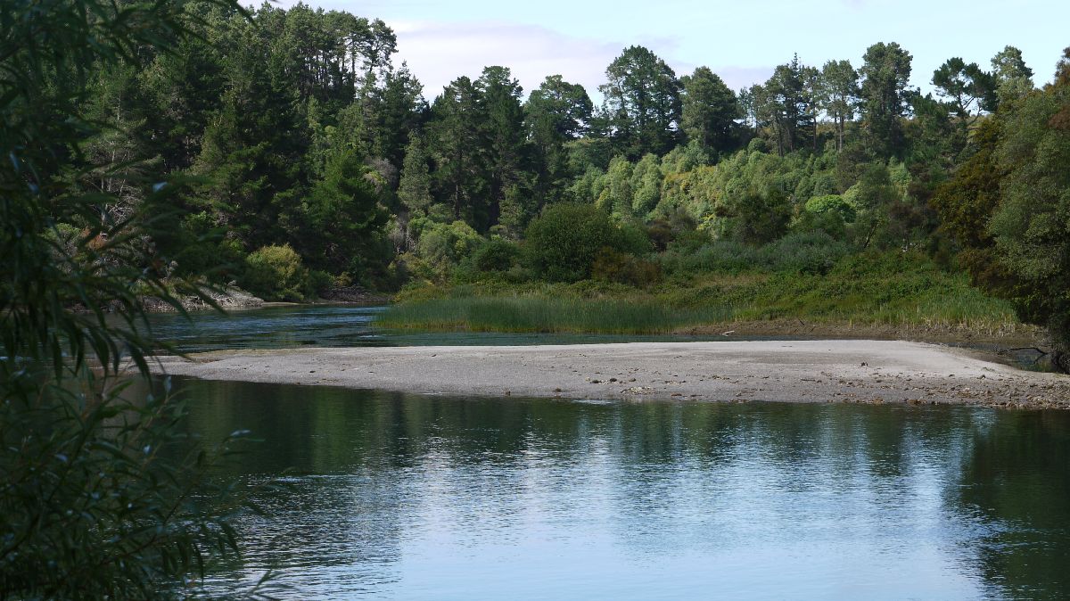 Waikato River