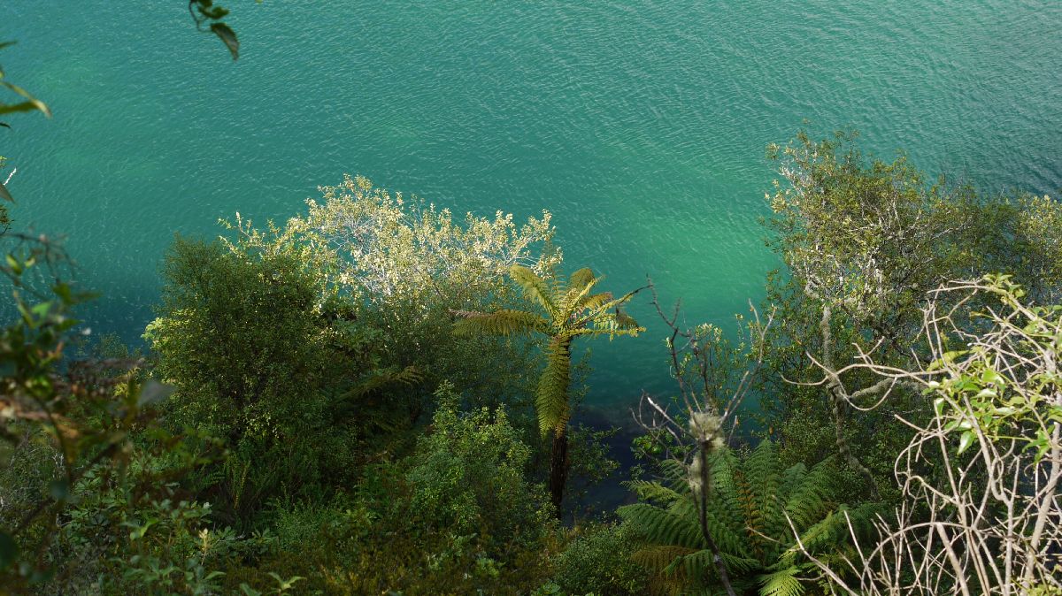 Waikato River