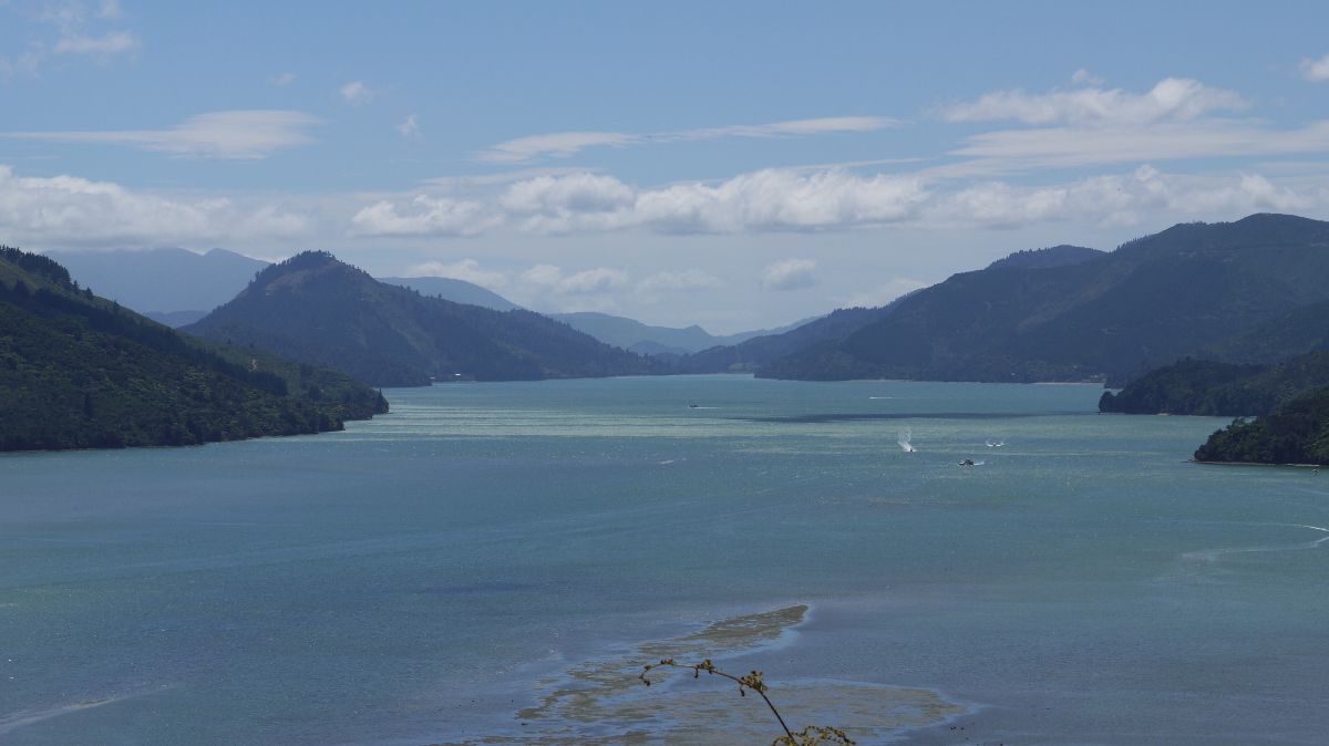 Queen Charlotte Sound